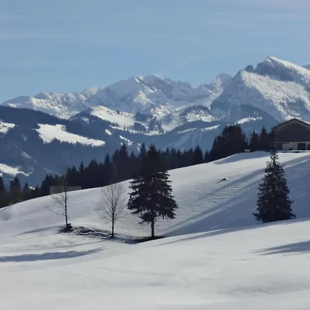 Chalet Hinterlammerain Abtenau