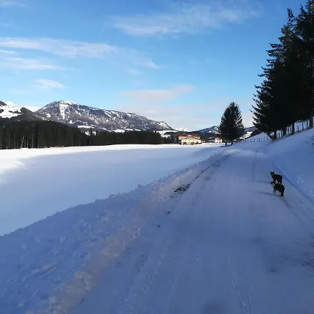 Domek alpejski Hinterlammerain