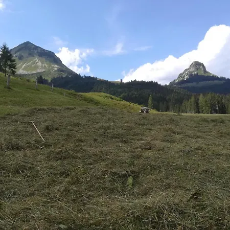 Hinterlammerain Domek alpejski Abtenau