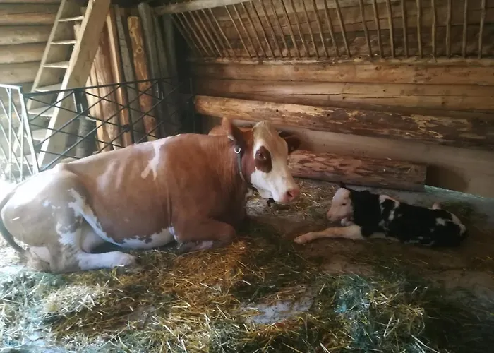 Horská chata Hinterlammerain Abtenau