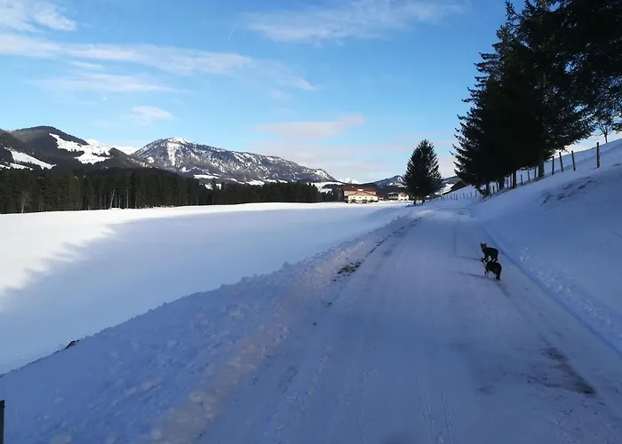 Horská chata Hinterlammerain