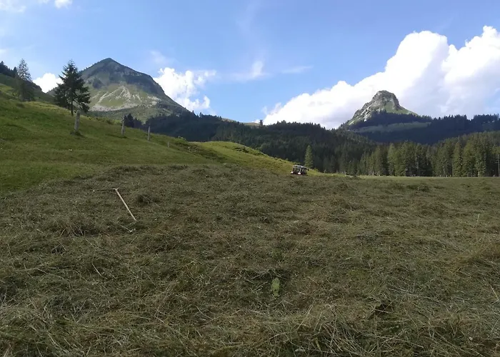 Hinterlammerain Horská chata Abtenau