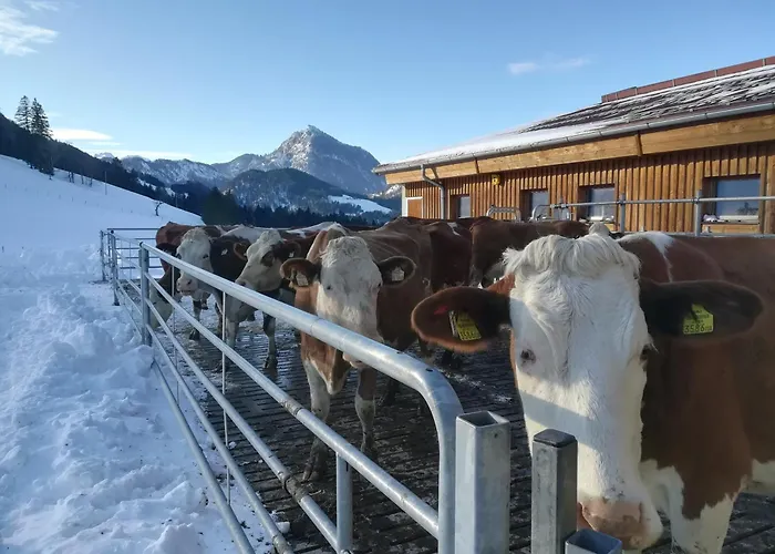 Hinterlammerain Horská chata *